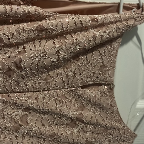 Blush Lace Top Dress - Picture 5 of 5